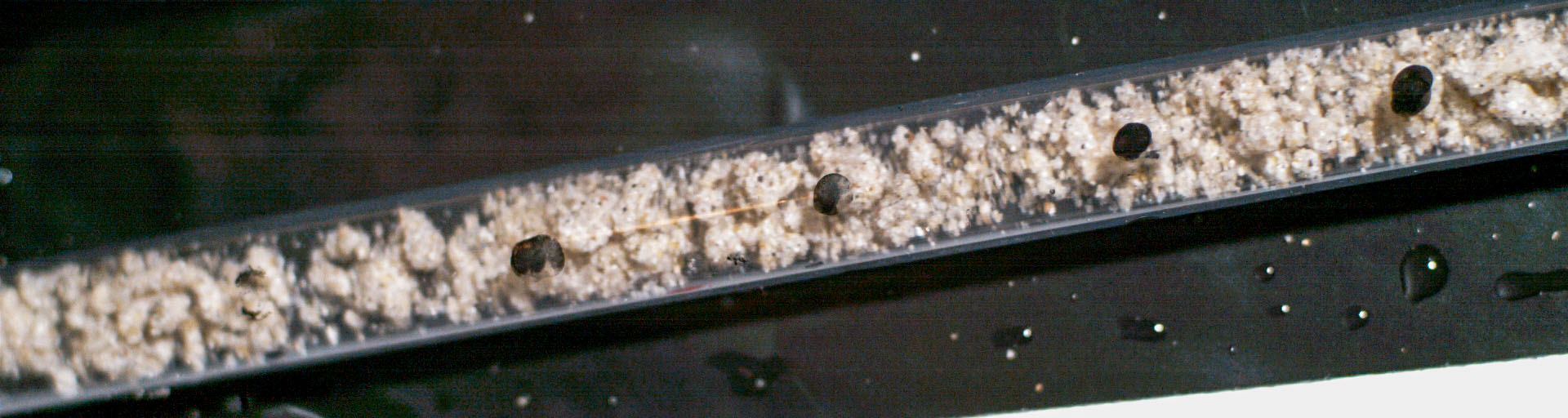 Cygnus NG-18 (S.S. Sally Ride)|Antares 230+ | Everyday Astronaut